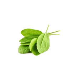 Spinach PNG-79145